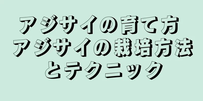 アジサイの育て方 アジサイの栽培方法とテクニック