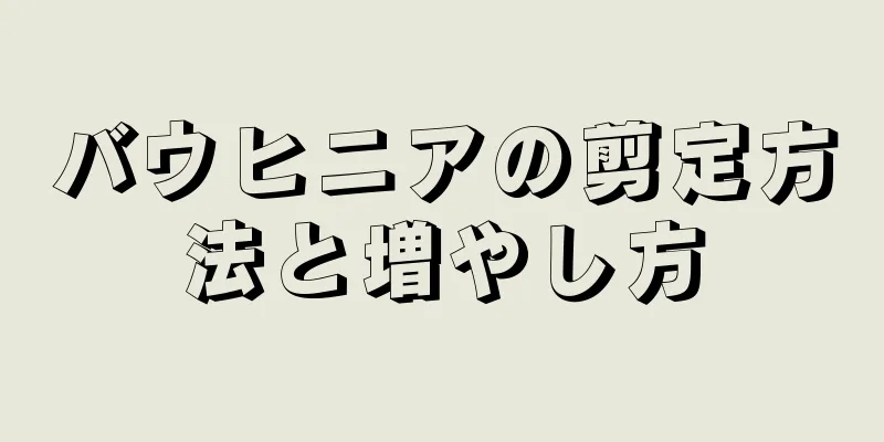バウヒニアの剪定方法と増やし方