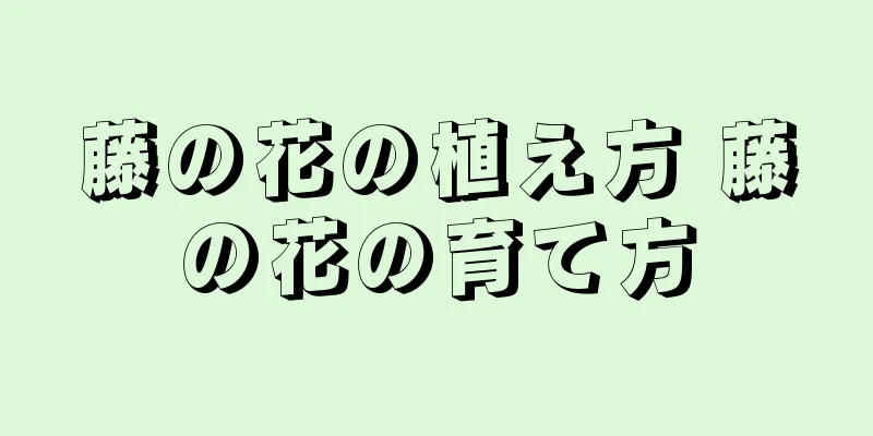 藤の花の植え方 藤の花の育て方