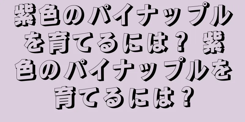 紫色のパイナップルを育てるには？ 紫色のパイナップルを育てるには？