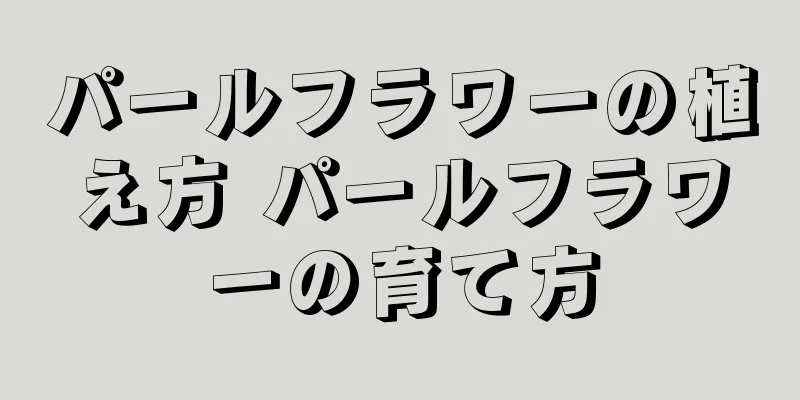 パールフラワーの植え方 パールフラワーの育て方