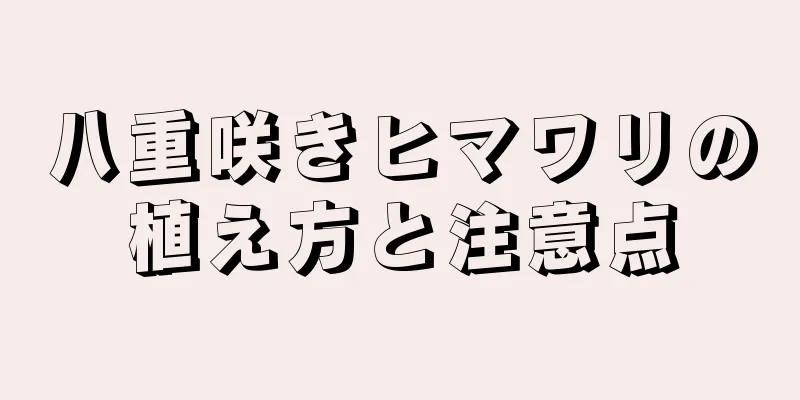 八重咲きヒマワリの植え方と注意点