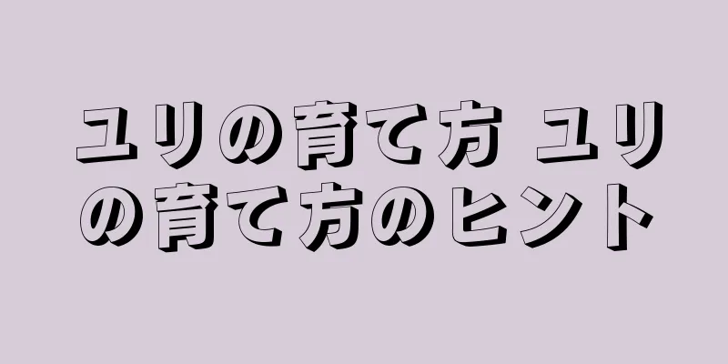 ユリの育て方 ユリの育て方のヒント