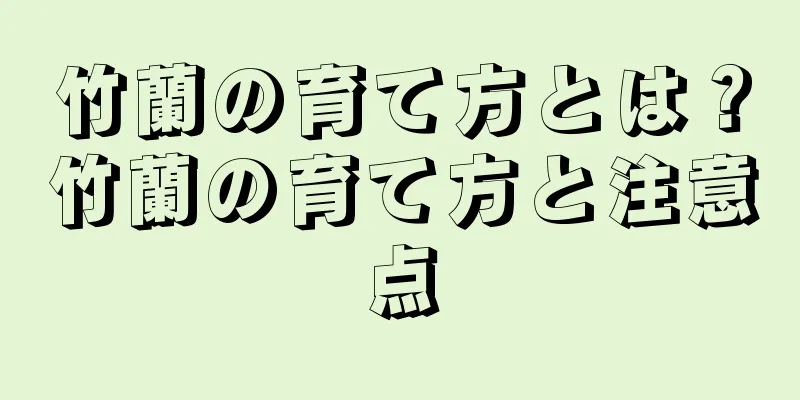竹蘭の育て方とは？竹蘭の育て方と注意点