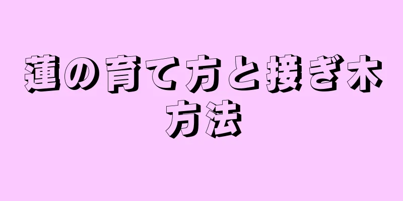 蓮の育て方と接ぎ木方法