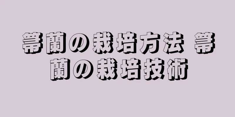 箒蘭の栽培方法 箒蘭の栽培技術