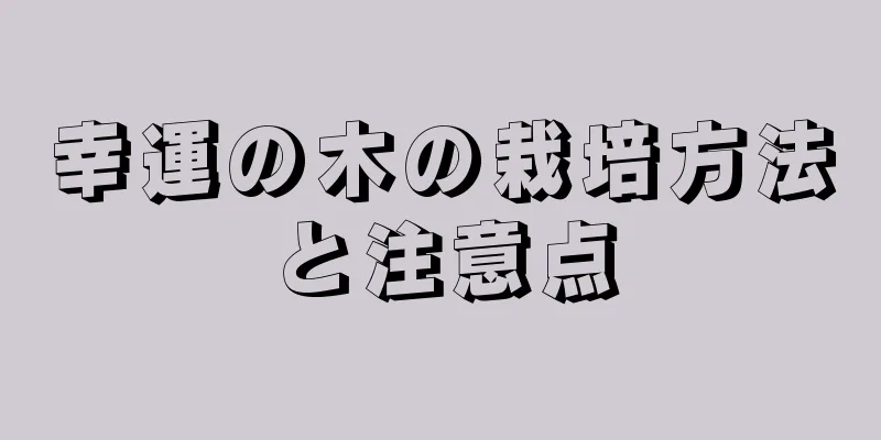 幸運の木の栽培方法と注意点