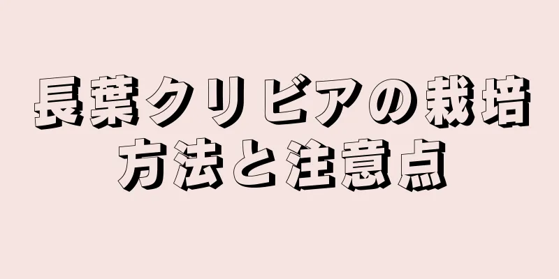 長葉クリビアの栽培方法と注意点