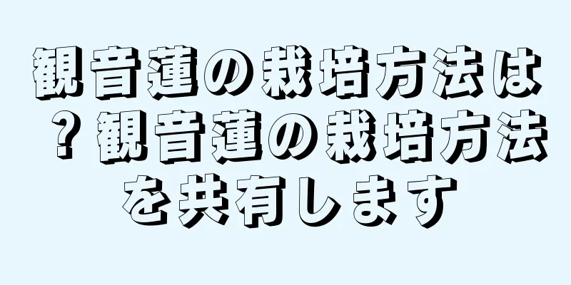 観音蓮の栽培方法は？観音蓮の栽培方法を共有します