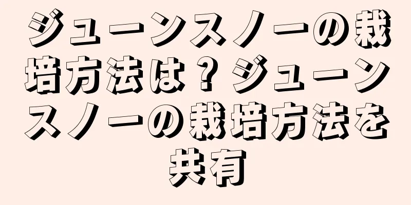 ジューンスノーの栽培方法は？ジューンスノーの栽培方法を共有