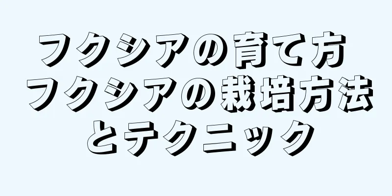 フクシアの育て方 フクシアの栽培方法とテクニック