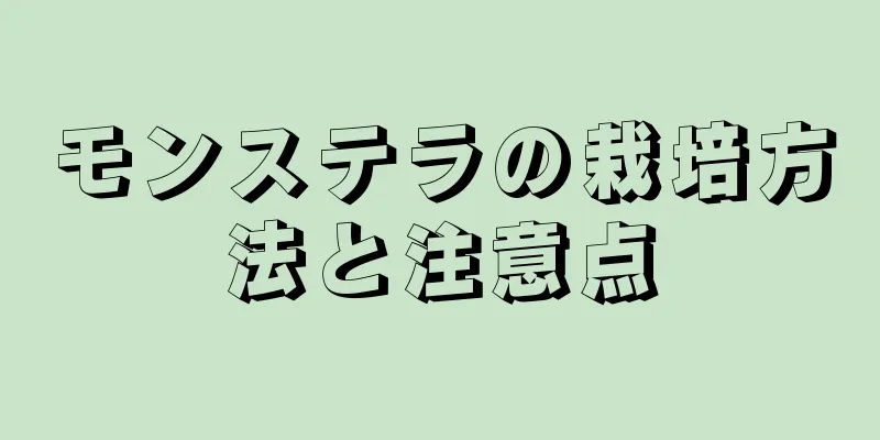 モンステラの栽培方法と注意点