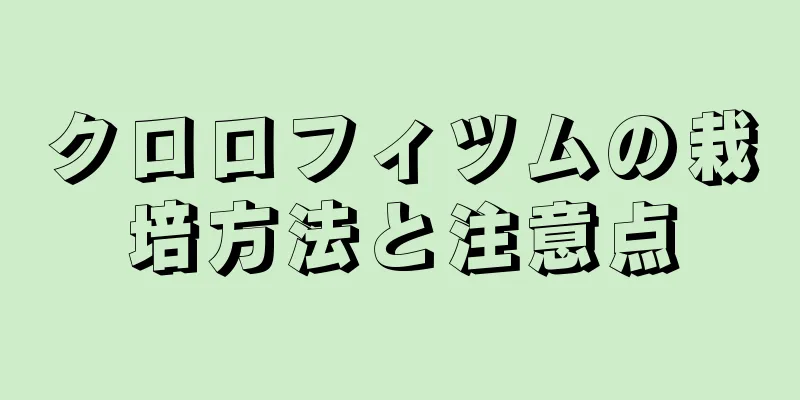 クロロフィツムの栽培方法と注意点