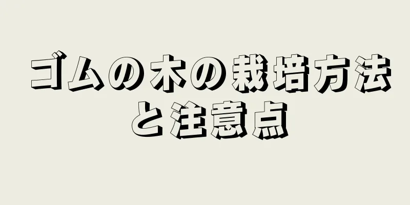 ゴムの木の栽培方法と注意点