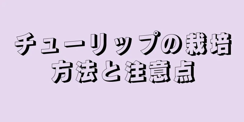 チューリップの栽培方法と注意点