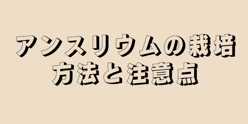 アンスリウムの栽培方法と注意点