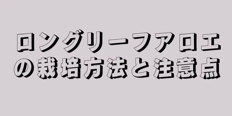 ロングリーフアロエの栽培方法と注意点