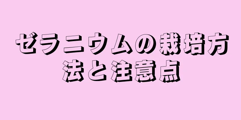 ゼラニウムの栽培方法と注意点