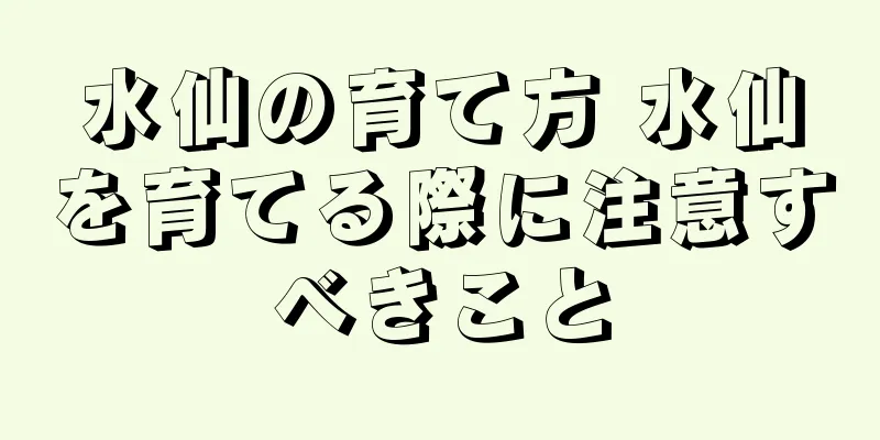 水仙の育て方 水仙を育てる際に注意すべきこと