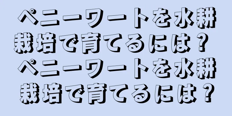 ペニーワートを水耕栽培で育てるには？ ペニーワートを水耕栽培で育てるには？