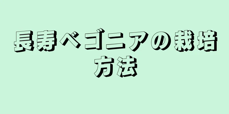 長寿ベゴニアの栽培方法