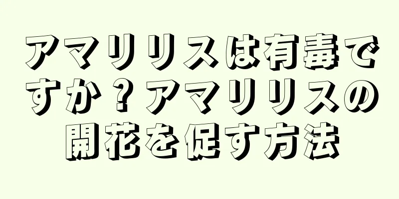 アマリリスは有毒ですか？アマリリスの開花を促す方法