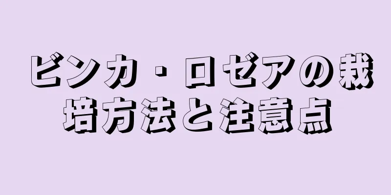 ビンカ・ロゼアの栽培方法と注意点