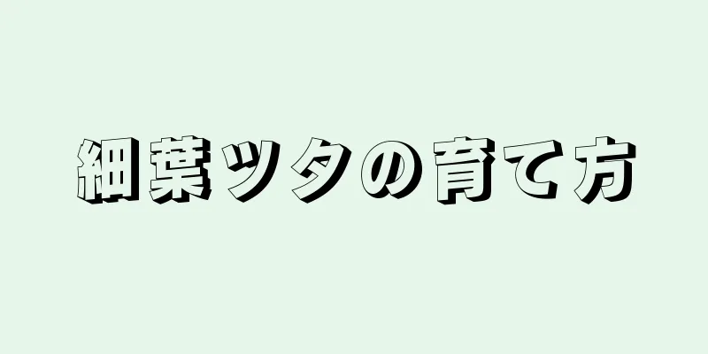 細葉ツタの育て方
