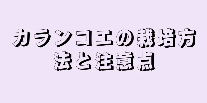 カランコエの栽培方法と注意点