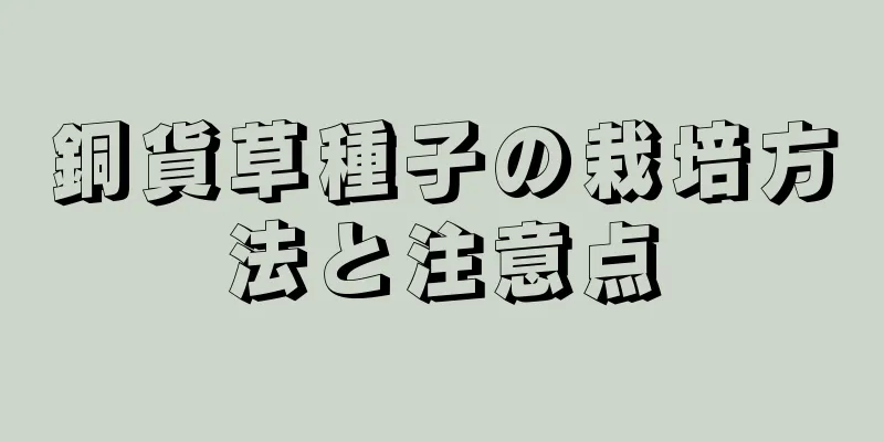 銅貨草種子の栽培方法と注意点