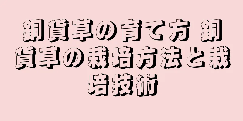 銅貨草の育て方 銅貨草の栽培方法と栽培技術