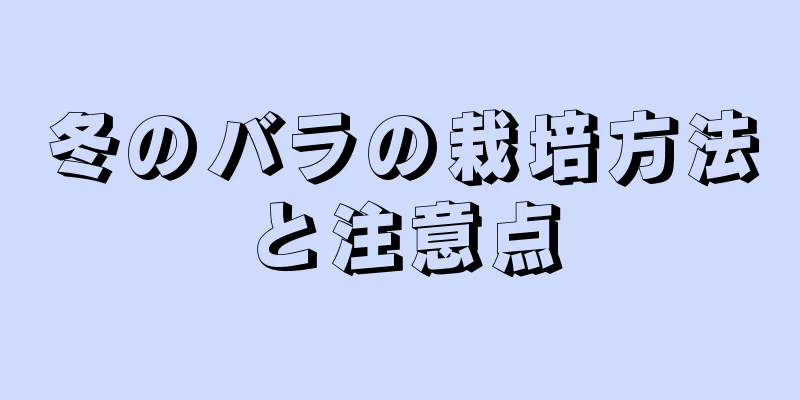 冬のバラの栽培方法と注意点