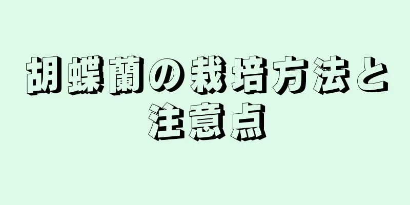 胡蝶蘭の栽培方法と注意点