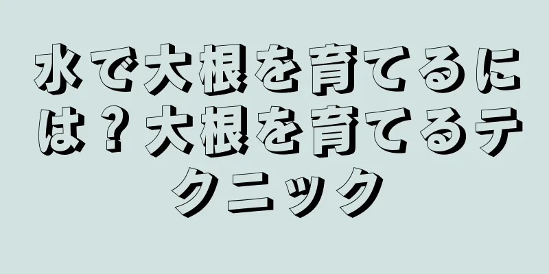 水で大根を育てるには？大根を育てるテクニック