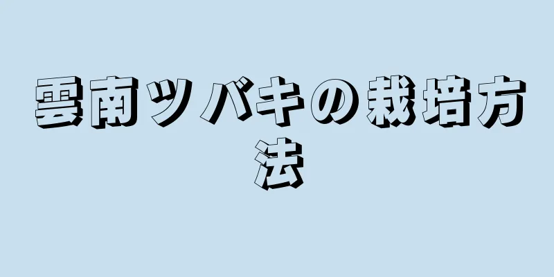 雲南ツバキの栽培方法