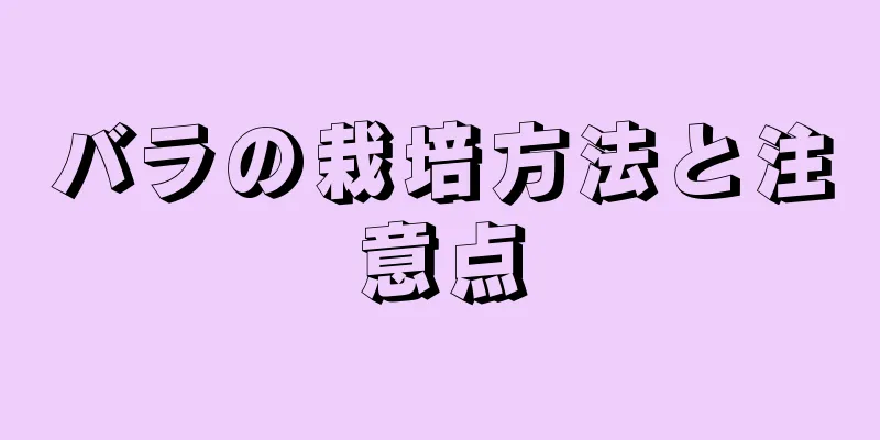 バラの栽培方法と注意点