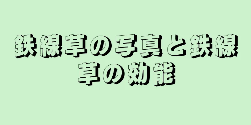 鉄線草の写真と鉄線草の効能
