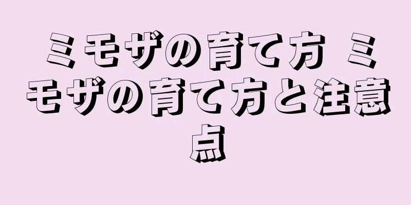 ミモザの育て方 ミモザの育て方と注意点