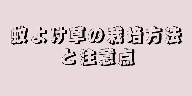 蚊よけ草の栽培方法と注意点