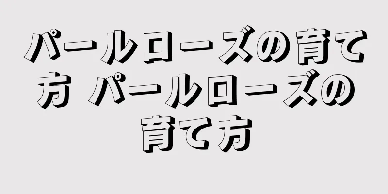 パールローズの育て方 パールローズの育て方