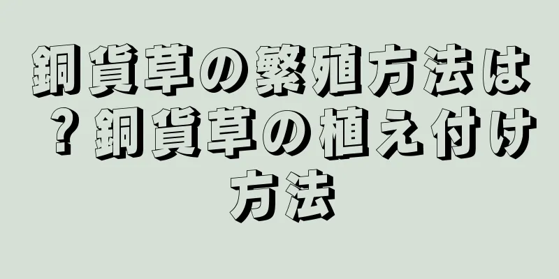 銅貨草の繁殖方法は？銅貨草の植え付け方法