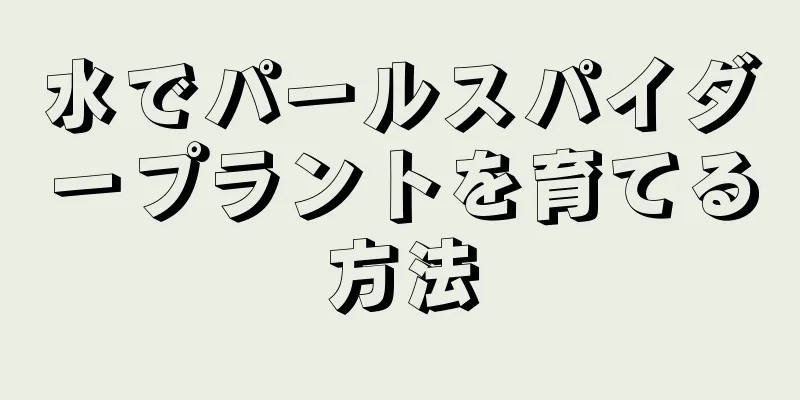 水でパールスパイダープラントを育てる方法