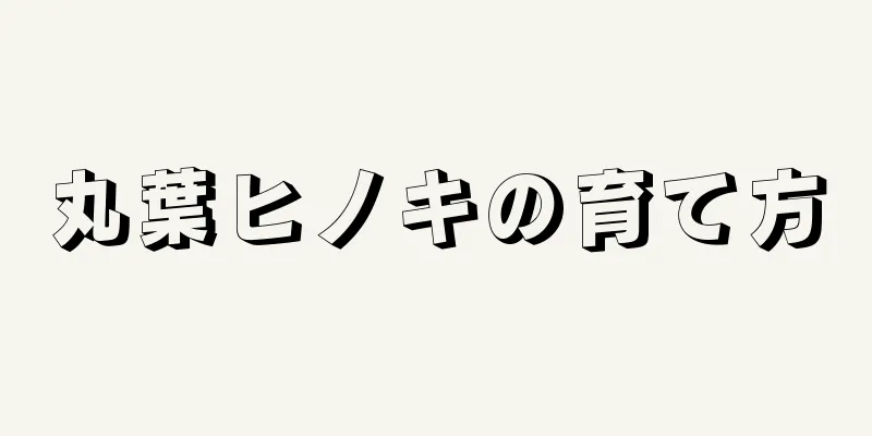 丸葉ヒノキの育て方