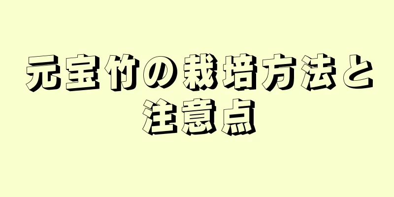 元宝竹の栽培方法と注意点