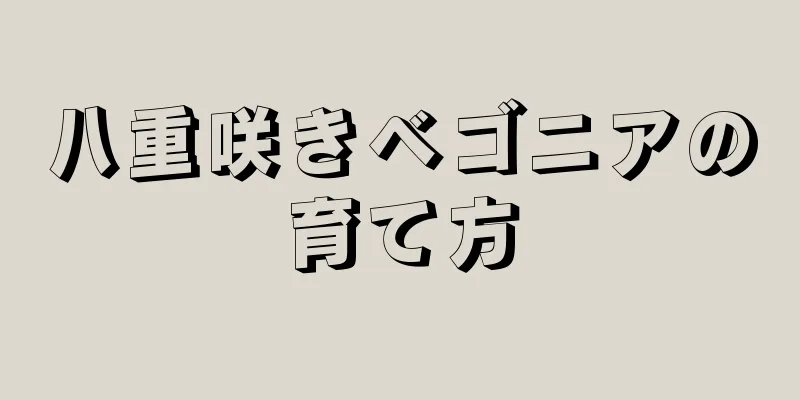 八重咲きベゴニアの育て方