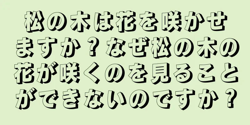 松の木は花を咲かせますか？なぜ松の木の花が咲くのを見ることができないのですか？
