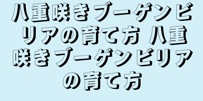 八重咲きブーゲンビリアの育て方 八重咲きブーゲンビリアの育て方
