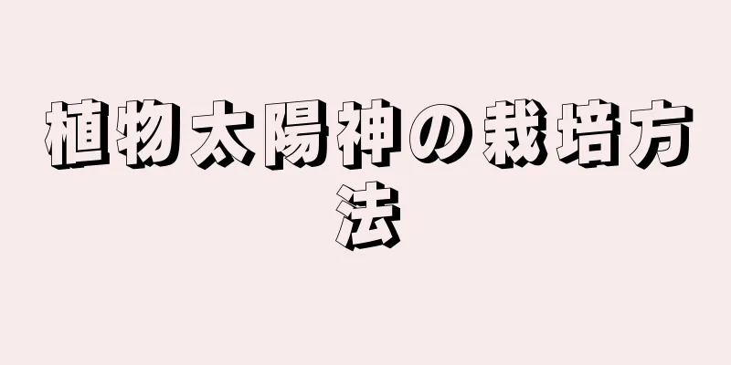 植物太陽神の栽培方法