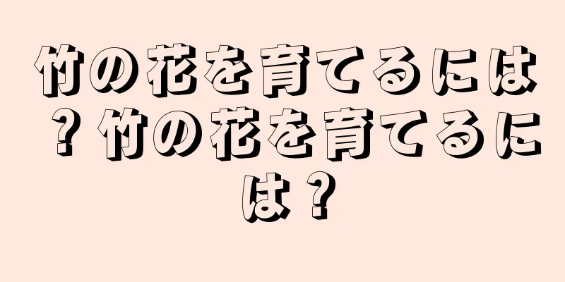 竹の花を育てるには？竹の花を育てるには？