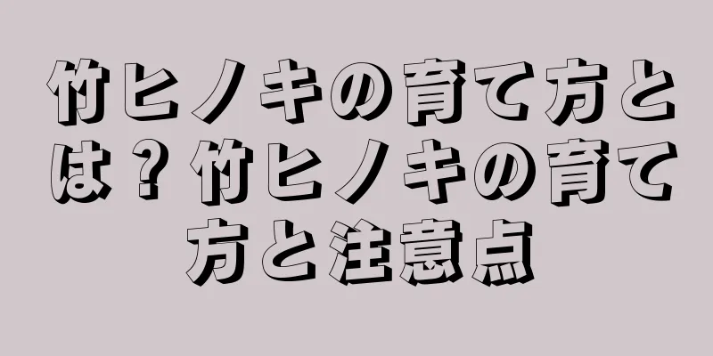 竹ヒノキの育て方とは？竹ヒノキの育て方と注意点